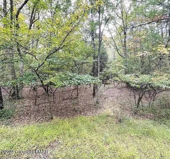Land Listing Agent Photo
